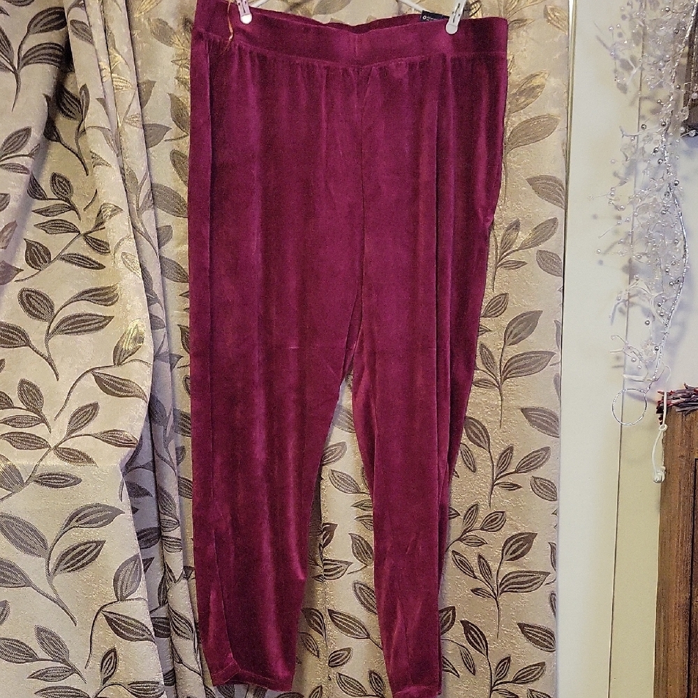 Faded Glory Women's Plush Velvet Leggings in Rich Burgundy